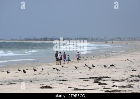 San Diego, CA, USA - 30 luglio 2023: People in Border Field State Park Beach a San Diego, California. Foto Stock