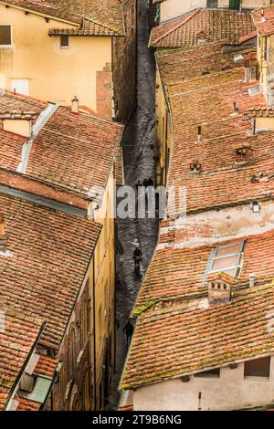 Via Fillungo a Lucca vista da Torre Guinigi, Toscana, Italia Foto Stock