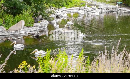 Pellicani bianchi sul lago con cespugli, alberi. Gregge di famiglia di uccelli in natura. Fauna selvatica esotica. Foto Stock