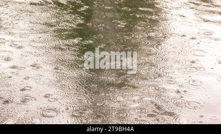 Lago con gocce di pioggia in superficie, vista dall'alto. Ombra dalla natura in riflessione. Increspature, cerchi sull'effetto farfalla sullo sfondo. Foto Stock