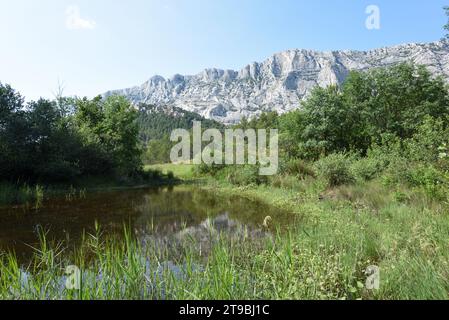 Laghetto, piscina naturale, Etang o piccolo lago e aiuole di fronte alla montagna di Montagne Sainte Victoire o alla riserva naturale vicino ad Aix-en-Provence, Francia Foto Stock