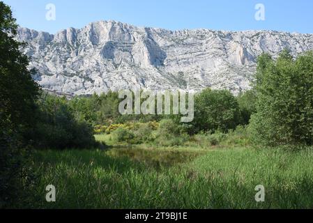 Laghetto, piscina naturale, Etang o piccolo lago e aiuole di fronte alla montagna di Montagne Sainte Victoire o alla riserva naturale vicino ad Aix-en-Provence, Francia Foto Stock