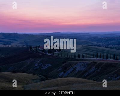 File di cipressi che crescono lungo la strada di campagna al tramonto Foto Stock