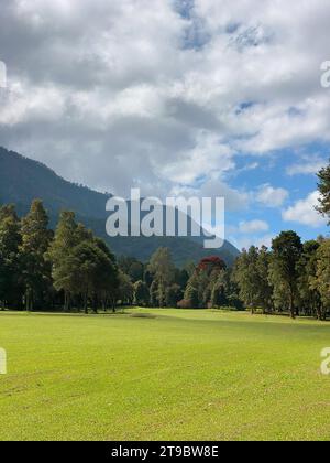 Splendido paesaggio verde di Handara nelle giornate di sole, Bedugul, isola di Bali, Indonesia. Foto Stock