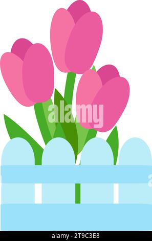 Tulipani di lampone in stile cartone animato isolato su sfondo bianco. I fiori primaverili sono in una recinzione decorativa blu. Può essere utilizzato come icona, adesivo Illustrazione Vettoriale