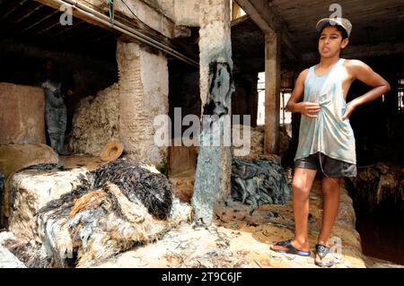 Conceria Chouara. Fez, Marocco. Foto Stock