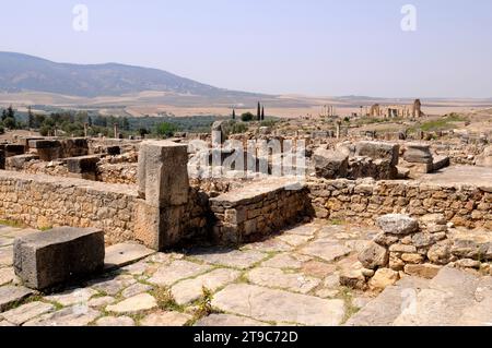 Volubilis, città berbera e romana (dal 3th ° secolo AC al 11th ° secolo AC), Patrimonio dell'Umanità. Meknes, Marocco. Foto Stock