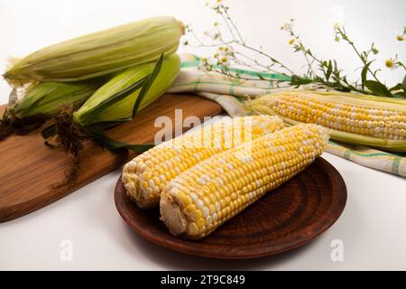 Piatto di argilla con due spighe di mais dolce maturo e asciugamano verde su fondo in legno bianco vintage. Pannocchie con grani bianchi e gialli. Orecchie fresche di mais Foto Stock