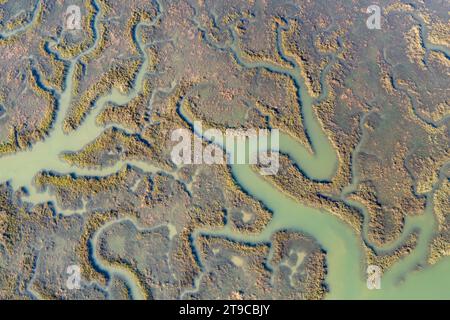 Paludi saline allagate sull'estuario dei cammelli, Wadebridge, Cornovaglia, Inghilterra. Primavera (aprile) 2021. Foto Stock