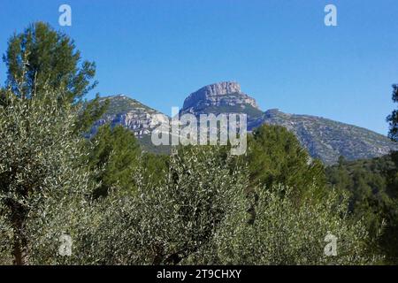 Vu sur le sommet du Garlaban depuis le sentier de la "font de mai" vista della vetta del Garlaban dal sentiero "font de mai" Foto Stock