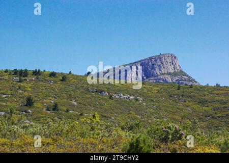 Vu sur le sommet du Garlaban depuis le sentier de la "font de mai" vista della vetta del Garlaban dal sentiero "font de mai" Foto Stock