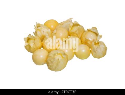 Cape gooseberry, physalis isolati su sfondo bianco. Foto Stock