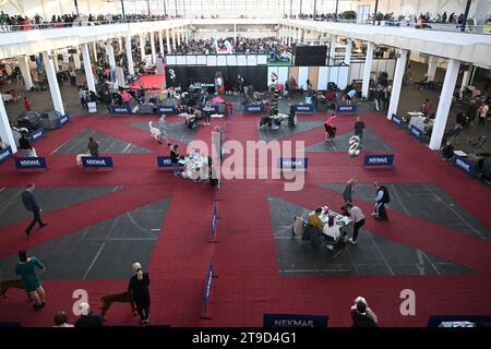 Zagabria, Croazia. 24 novembre 2023. Vista generale del Winter Classic Dog Show 2023 alla Fiera di Zagabria il 24 novembre 2023. A Zagabria, Croazia. Foto: Davorin Visnjic/PIXSELL credito: Pixsell/Alamy Live News Foto Stock