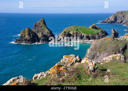 Lichen ha coperto rocce di granito sopra Kynance Cove sulla penisola di Lizard in Cornovaglia, Inghilterra, Regno Unito Foto Stock