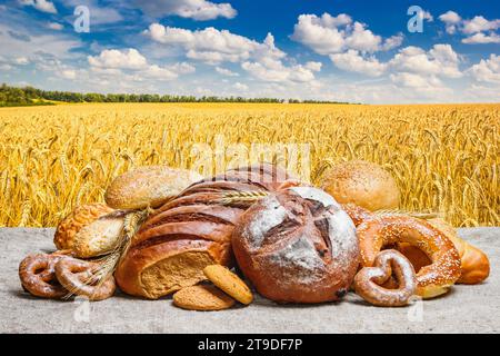 Pane fresco e panificio su sacco sullo sfondo campo di grano con cielo nuvoloso, con spazio per il testo Foto Stock