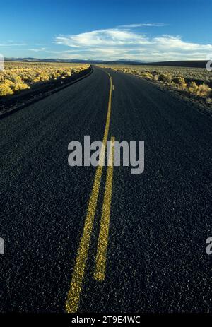 Diamante nazionale Loop Back Country Byway, Harney County, Oregon Foto Stock