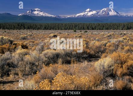 Three Sisters dall'autostrada US 20, Deschutes County, Oregon Foto Stock