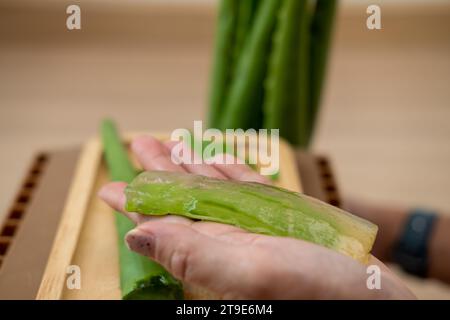 Mano della donna Mostra l'aloe vera pelata sul palmo. Foto Stock