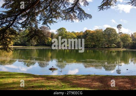 Giardini all'inglese di Claremont Foto Stock