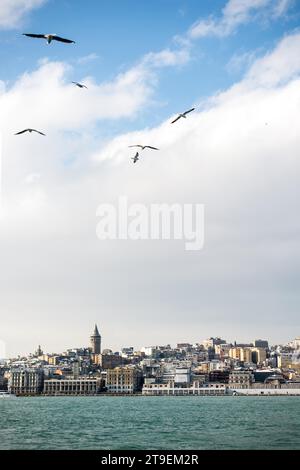 Gabbiani in volo in Bosforo nel cielo di Istanbul Foto Stock