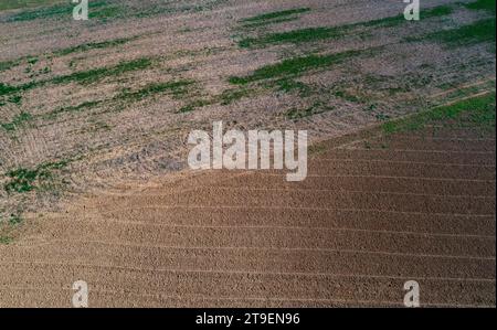 Vista droni dei campi raccolti, Hofkirchen im Traunkreis, Traunviertel, alta Austria, Austria Foto Stock