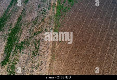 Vista droni dei campi raccolti, Hofkirchen im Traunkreis, Traunviertel, alta Austria, Austria Foto Stock