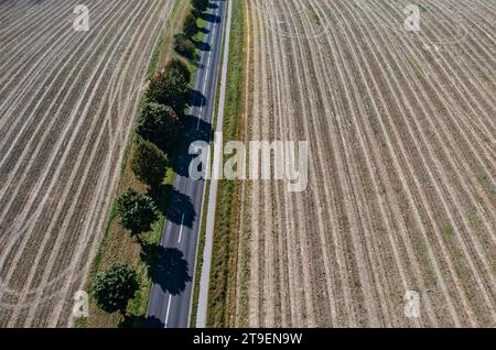 Vista droni di una strada alberata tra i campi raccolti, Dorf an dfer Pram, Innviertel, alta Austria, Austria Foto Stock