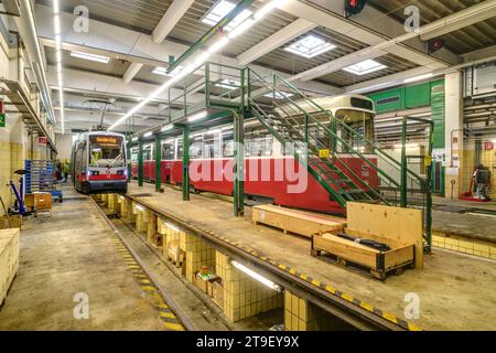 Wien, Straßenbahnremise Floridsdorf der Wiener Linien // Vienna, Tramway (tram) Depot Floridsdorf Foto Stock