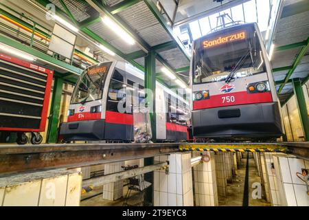 Wien, Straßenbahnremise Floridsdorf der Wiener Linien // Vienna, Tramway (tram) Depot Floridsdorf Foto Stock