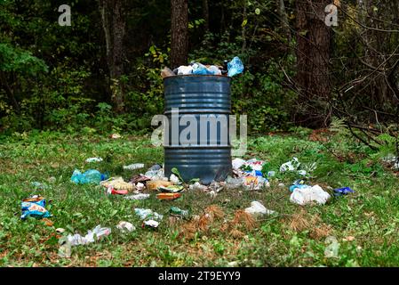 Spazzatura, lettiera, spazzatura su erba in natura, foresta Foto Stock