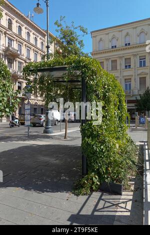 Budapest, Stadtgestaltung, begrünte Bushaltestelle, Jozsef Nador ter // Budapest, Public Space Design, Green Busstop, Jozsef Nador ter Foto Stock