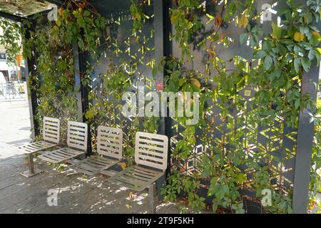 Budapest, Stadtgestaltung, begrünte Bushaltestelle, Jozsef Nador ter // Budapest, Public Space Design, Green Busstop, Jozsef Nador ter Foto Stock