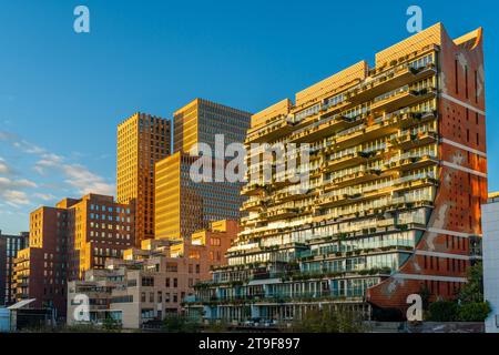 Quartiere degli affari di Amsterdam Zuidas, Paesi Bassi Foto Stock