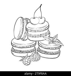 Macaron con menta e frutti di bosco. Illustrazione vettoriale. Stile grafico. disegnato a mano in uno stile semplice e minimalista. Può essere utilizzato per cucina, appunti, libri di cucina Illustrazione Vettoriale