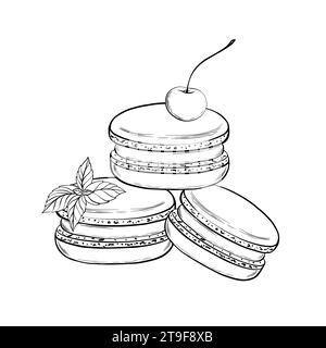 Macaron con menta e ciliegia. Illustrazione vettoriale. Stile grafico. disegnato a mano in uno stile semplice e minimalista. Può essere utilizzato per cucina, appunti, libri di cucina Illustrazione Vettoriale