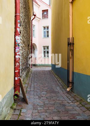 Tallinn, Estonia - settembre 2022: La strada più stretta nella città vecchia di Tallinn. Nel Medioevo era chiamata Bloody Street perché lì c'era Foto Stock