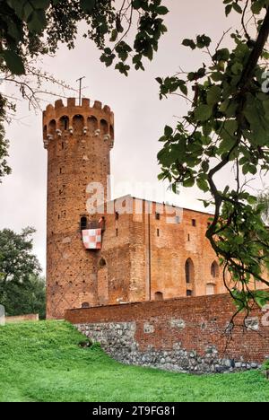 Castello teutonico, XIV secolo, a Świecie, Kujawsko-Pomorskie, Polonia Foto Stock