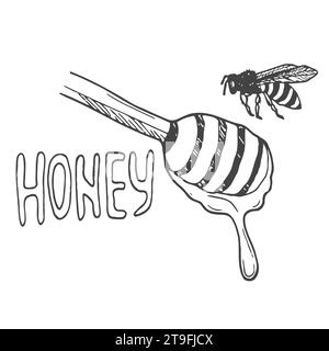 Scritta al miele circondata da api e fiori di doodle. Sfondo stilizzato vettoriale su sfondo bianco Illustrazione Vettoriale