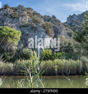 Paesaggio con ripida collina rocciosa e sponda del canale a palude sulla riva, fotografato con una luce brillante all'inizio dell'autunno vicino a Marina di Alberese, Toscana, Italia Foto Stock