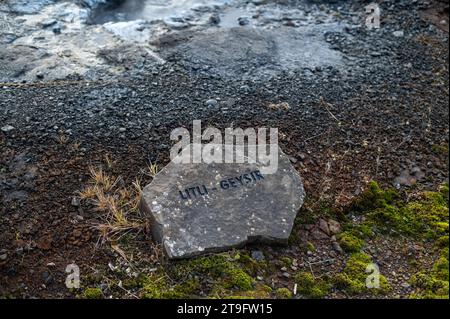 Mini geyser nella Laguna segreta, Islanda Foto Stock