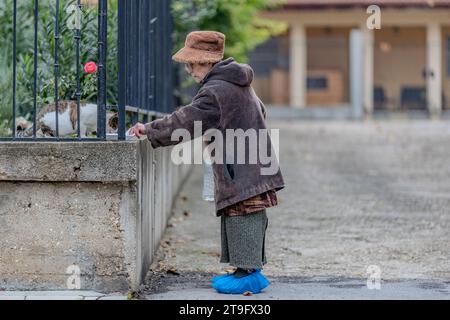 Una donna nutre i gatti a Ruse, Bulgaria, la mattina presto di giovedì 23 novembre 2023. (Foto VX/ Vudi Xhymshiti) Foto Stock