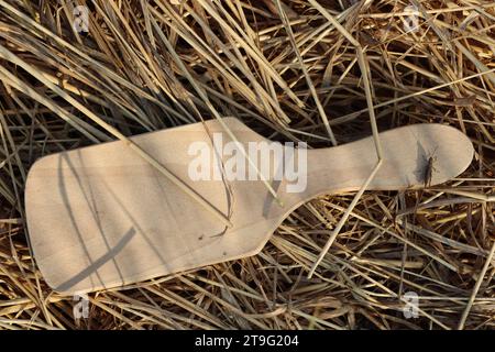 Un vecchio pettine giace nell'erba secca Foto Stock