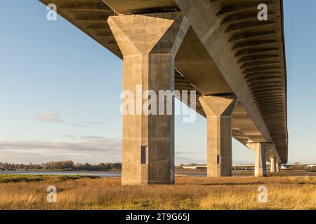 Una vista sotto il Mersey Gateway Bridge, che attraversa il fiume Mersey e il Manchester Ship Canal e collega le città di Runcorn e Widnes, entrambe nel Cheshire, Regno Unito. Ha aperto nel 2017 ed è di design strallato. Il panorama è preso dall'isola di Wigg, ora una riserva naturale della comunità Foto Stock