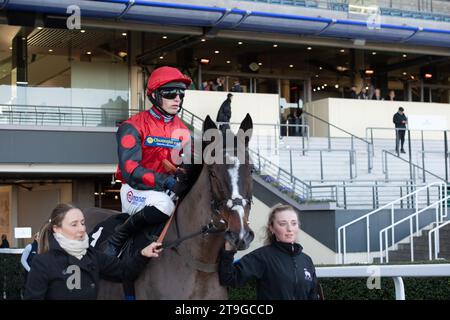 Ascot, Berkshire, Regno Unito. 25 novembre 2023. Horse Farnoge guidato dal fantino Harry Cobden si dirige sul tracciato prima di vincere la Bet con Ascot Donation Box Scheme, la corsa hurdle Race dei novizi all'ippodromo di Ascot durante il November Racing Saturday Meeting. Proprietario JCG Chia & i Warwick. Allenatore Paul Nicholls, Ditcheat. Credito: Maureen McLean/Alamy Live News Foto Stock