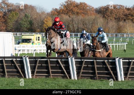 Ascot, Berkshire, Regno Unito. 25 novembre 2023. Horse Farnoge guidato dal fantino Harry Cobden libera un ostacolo prima di vincere la Bet con Ascot Donation Box Scheme, la corsa ostacoli dei novizi all'ippodromo di Ascot durante il November Racing Saturday Meeting. Proprietario JCG Chia & i Warwick. Allenatore Paul Nicholls, Ditcheat. Credito: Maureen McLean/Alamy Live News Foto Stock