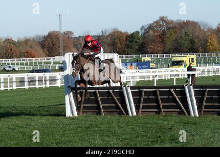 Ascot, Berkshire, Regno Unito. 25 novembre 2023. Horse Farnoge guidato dal fantino Harry Cobden libera l'ultimo prima di vincere la Bet con Ascot Donation Box Scheme, la corsa ostacoli dei novizi all'ippodromo di Ascot durante il November Racing Saturday Meeting. Proprietario JCG Chia & i Warwick. Allenatore Paul Nicholls, Ditcheat. Credito: Maureen McLean/Alamy Live News Foto Stock