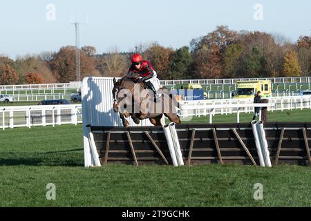 Ascot, Berkshire, Regno Unito. 25 novembre 2023. Horse Farnoge guidato dal fantino Harry Cobden libera l'ultimo prima di vincere la Bet con Ascot Donation Box Scheme, la corsa ostacoli dei novizi all'ippodromo di Ascot durante il November Racing Saturday Meeting. Proprietario JCG Chia & i Warwick. Allenatore Paul Nicholls, Ditcheat. Credito: Maureen McLean/Alamy Live News Foto Stock