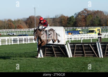 Ascot, Berkshire, Regno Unito. 25 novembre 2023. Horse Farnoge guidato dal fantino Harry Cobden libera l'ultimo prima di vincere la Bet con Ascot Donation Box Scheme, la corsa ostacoli dei novizi all'ippodromo di Ascot durante il November Racing Saturday Meeting. Proprietario JCG Chia & i Warwick. Allenatore Paul Nicholls, Ditcheat. Credito: Maureen McLean/Alamy Live News Foto Stock