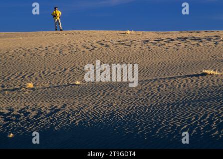 Dunes, Christmas Valley Sand Dunes Wilderness Study Area, Christmas Valley National Back Country Byway, Oregon Foto Stock