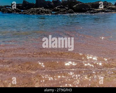 Affacciato sul mare della spiaggia di Elafonissi, Creta, si può ammirare la caratteristica tonalità rosa della sabbia Foto Stock